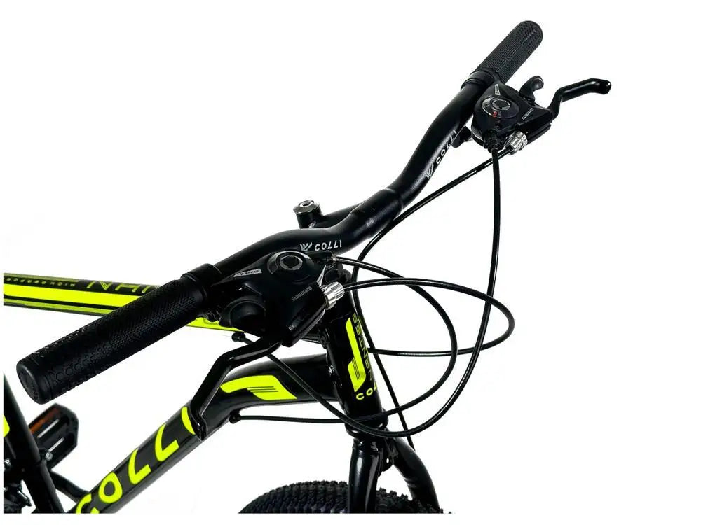 🚲 Bicicleta Aro 29 Colli Nantes – Aço Carbono